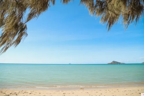 Приглашаем девушек.